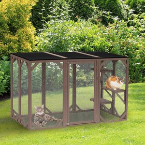 enclosed outdoor cat play area