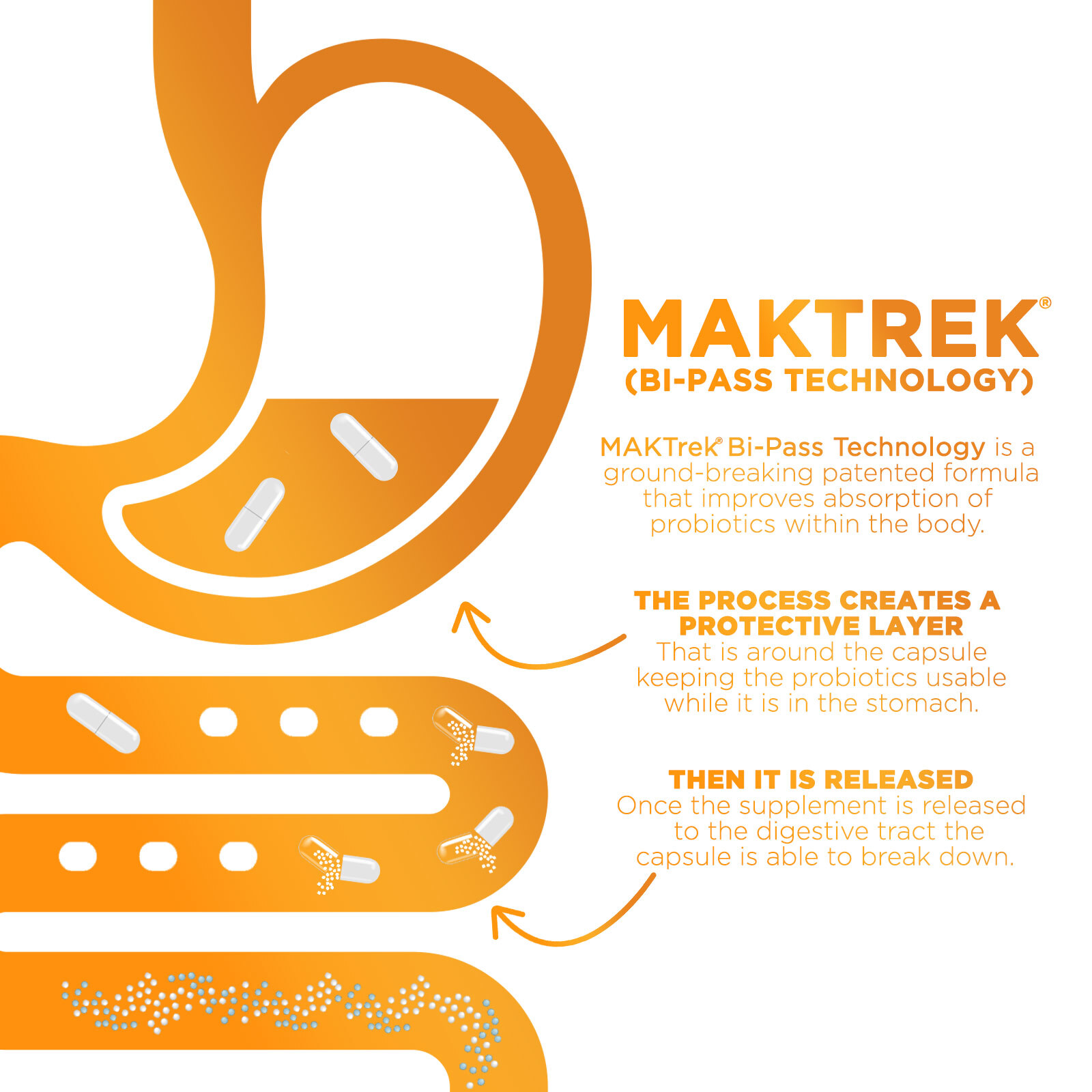 Probiotics 60 Billion CFU Immune Support & Digestive Health Support