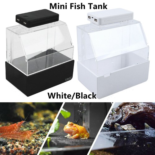 betta air pump