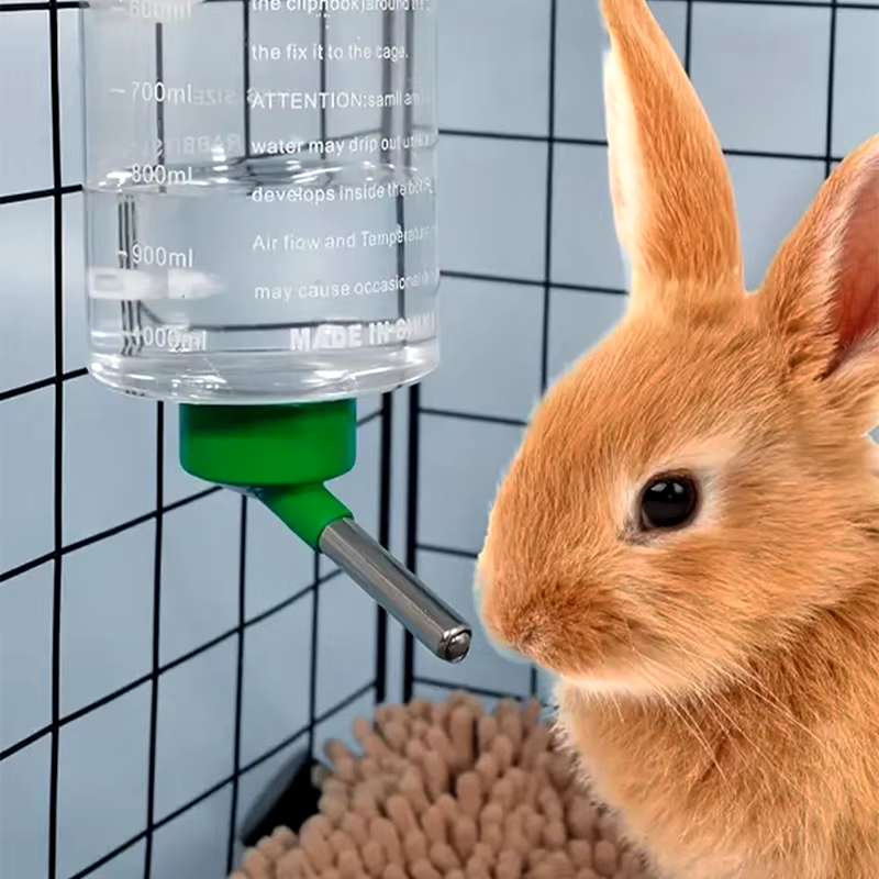 1 Pc Random 1000Ml Rabbit Drinking Plastic Water Bottle Dispenser
