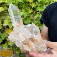 1.6lb Natural Clear white quartz crystal cluster specimen healing tariff-free