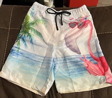 Boys Flamingo  Palm Tree Swimming Trunks