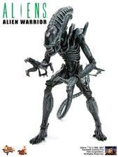 ALIENS - ALIEN WARRIOR XENOMORPH 1/6 ACTIONFIGUR HOT TOYS MMS 38 - SIDESHOW