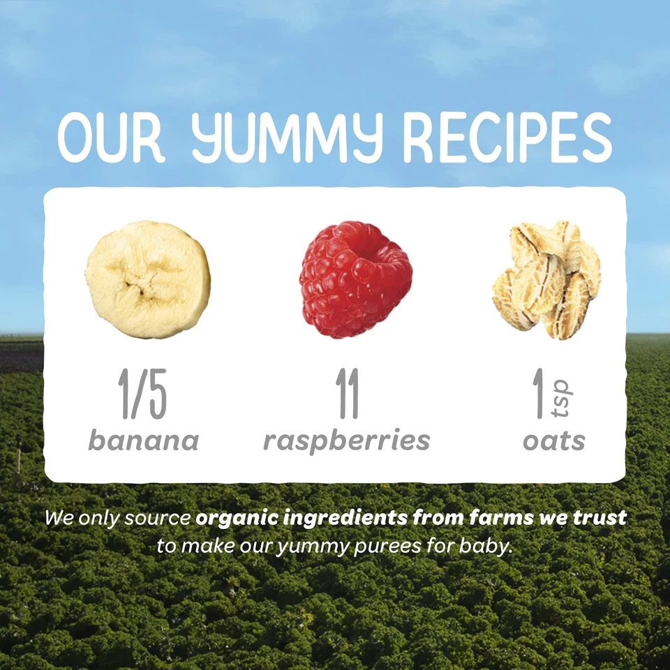 Paquete de 16 puré de frutas y verduras claramente elaborado etapa 2 de alimentos orgánicos para bebés Foto 4 de 4