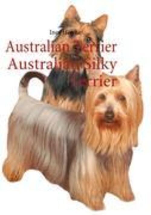 Thumbnail - Australian Terrier Australian Silky Terrier | Ines Höhne | Taschenbuch
