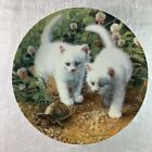 A Chance Meeting: White American Shorthairs Plate Amy Brackenbury's Cat Tales #1