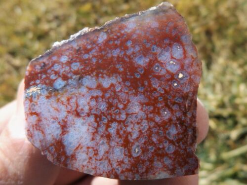DIG-N-UTAH: POLISHED AGATE # L 362 - Picture 2 of 4