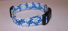Wet Nose Designs Daisy Daisy Floral Dog Collar Flowers Spring Springtime Blue
