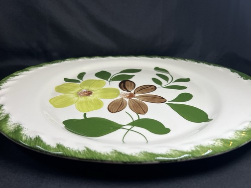 "Plato ovalado de brezo verde Blue Ridge Southern Potteries 13,75"" de colección" - Imagen 20 de 24