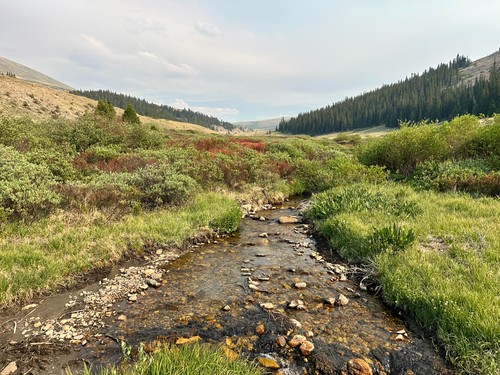 LOOK! 20 Acre Mining Claim Big Union Creek Lake County Leadville Colorado GOLD!