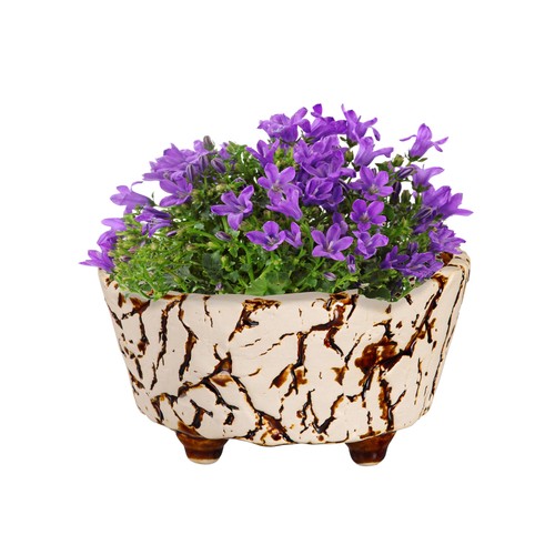 Ceramic Crackled Planter - Picture 2 of 3