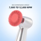 第 207/524 張圖片