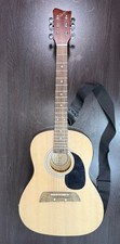 First Act Adam Levine Designer Series Acoustic Guitar AL363 w/ Access Gig Bag