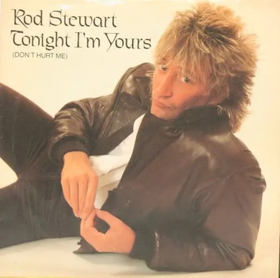 Rod Stewart Tonight Im Yours Vinyl Single 7inch NEAR MINT Warner