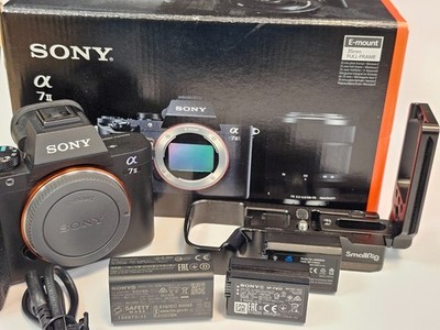 Sony Alpha 7 II, mirrorless full frame camera - shutter count: 29800