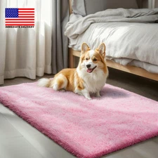 Small Rug Throw Rugs for Bedroom, Mini Area Rug, Fluffy Pink Carpet, Affordable 