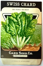 Vintage Seed Packet Swiss Chard New Old Stock Card Seed Company A3