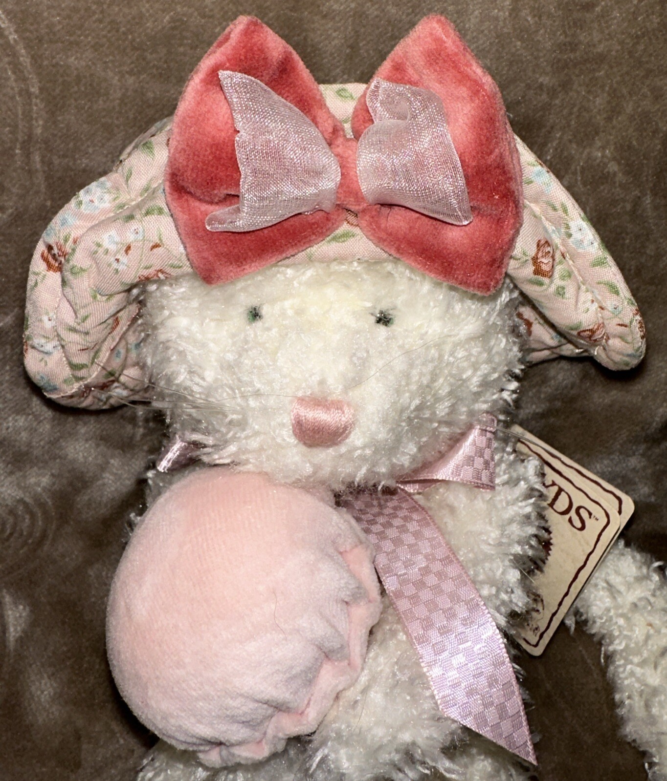 Picture 8 of 20