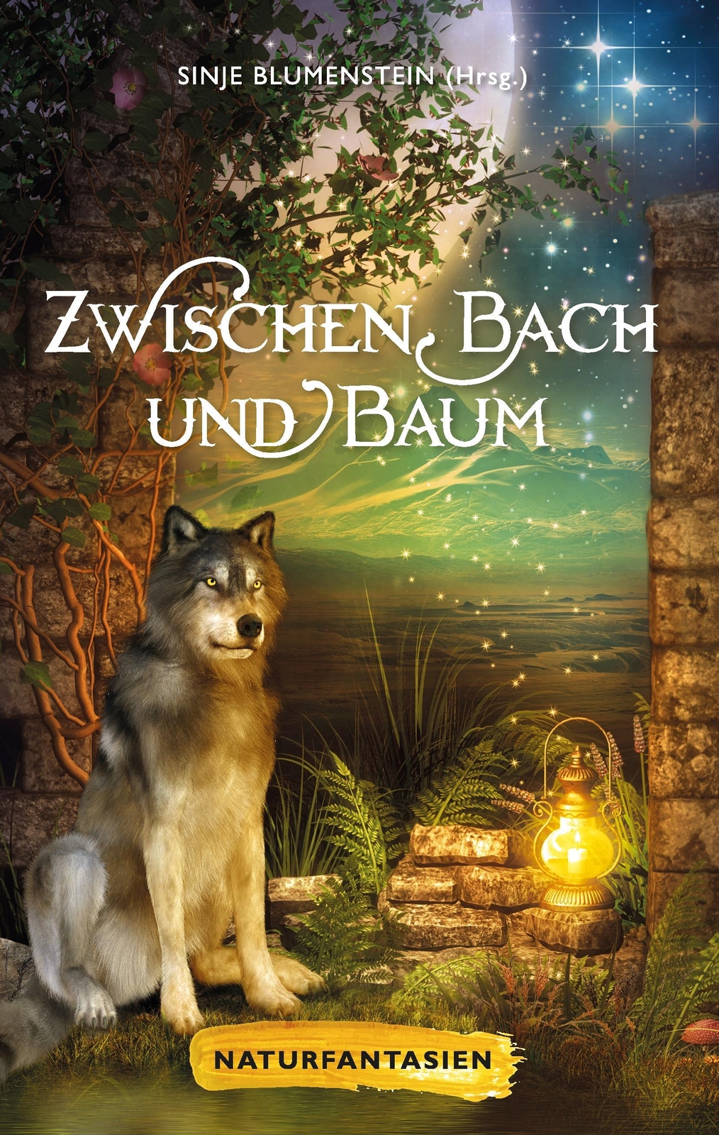 Thumbnail - Zwischen Bach Und Baum | Buch | 9783743165281