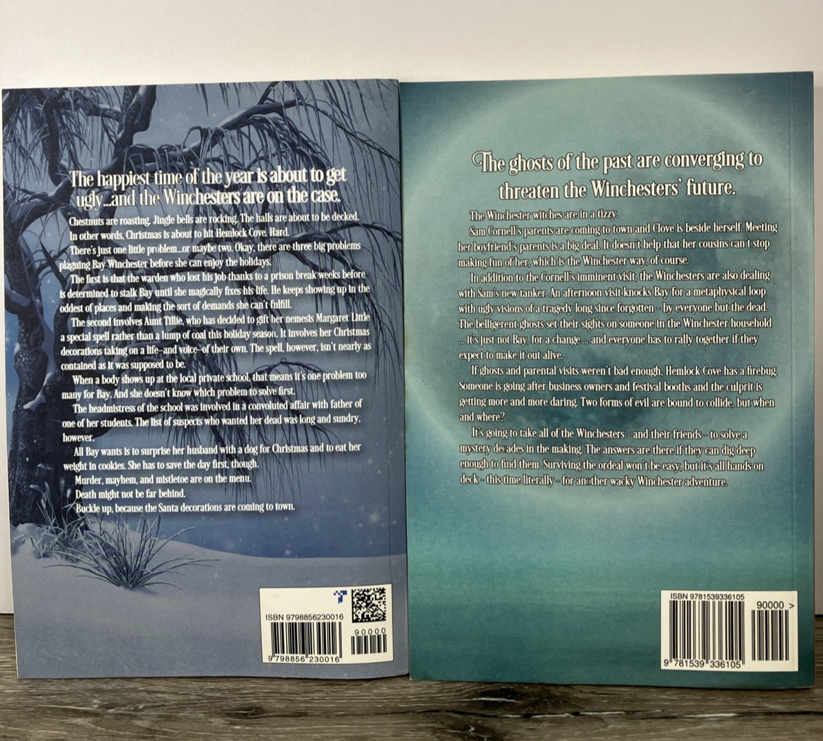 A Wicked Witches of the Midwest Mystery & Fantasy  Amanda M. Lee 24 PB Novels thumbnail 6