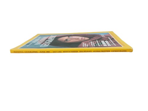 National Geographic Magazine Afghan Girl Eyes Vol. 167 No. 6 June 1985 Nat Geo - Picture 4 of 6