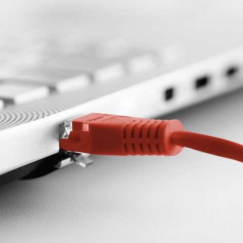 Câble réseau Ethernet RJ45 30 CM Rouge Cat.6 UTP AWG24 - Imagen 5 de 6