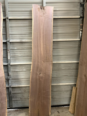 KILN DRIED LIVE EDGE BLACK WALNUT SLAB  GREAT FOR SHELF BARTOP TABLE BW7