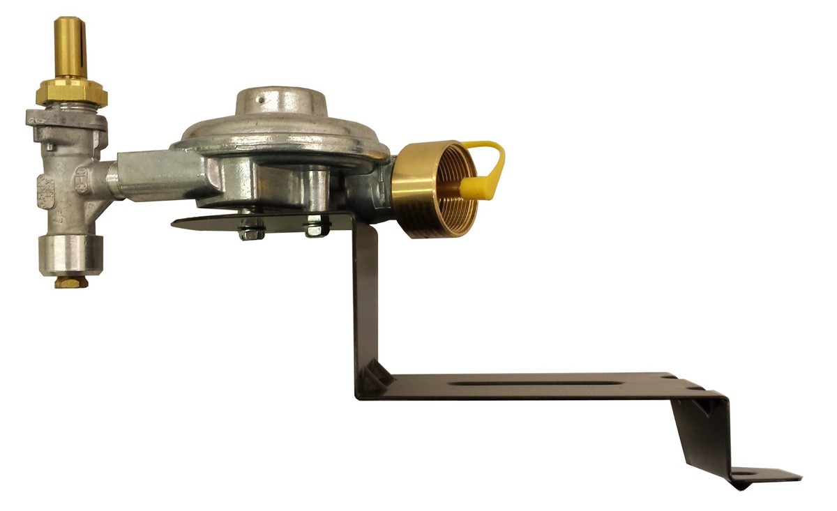 Weber Q2000 Valve and Regulator 64865 Australia