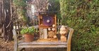 Foto 12 di 24