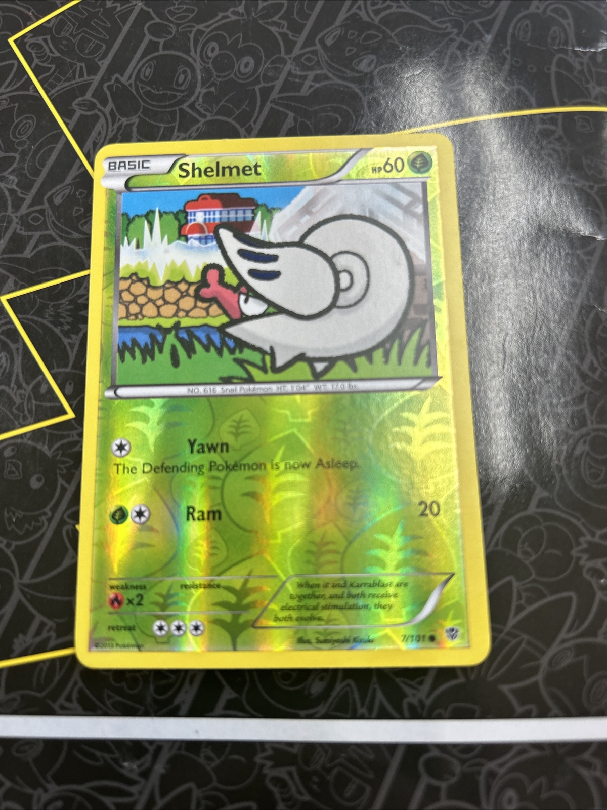 Shelmet 7/101 B&W Plasma Blast REVERSE HOLO Pokemon