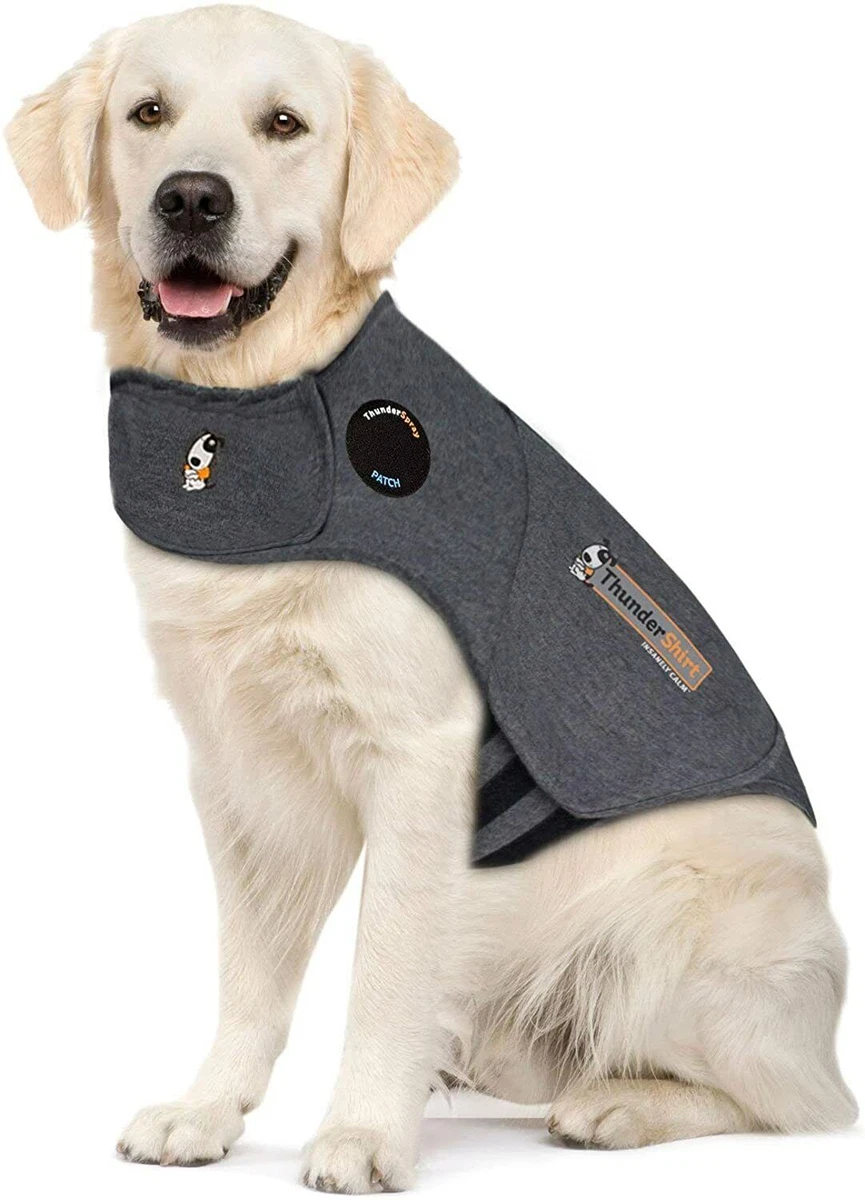 Anxiety coat top