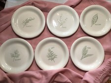 William Sonoma Culinary Herb Collection Embosse Appetizer Plates in Earth Tones