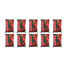 Michigan Peat Baccto All Purpose Potting Soil with Perlite, 25lbs (10 Pack)