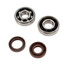 Roulement ou joint spi moteur Doppler pour Moto Beta 50 RR Track Neuf
