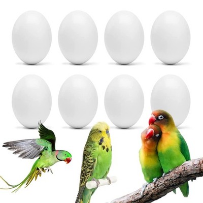 8 Pcs Parrot Eggs Hatching Eggs Stop Egg Laying Fit Cockatiels Lovebird Parakeet