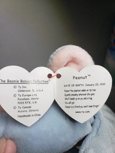 TY Beanie Babies Peanut the Elephant 1995 ritirato in perfette condizioni pellet PE - Foto 6 di 8