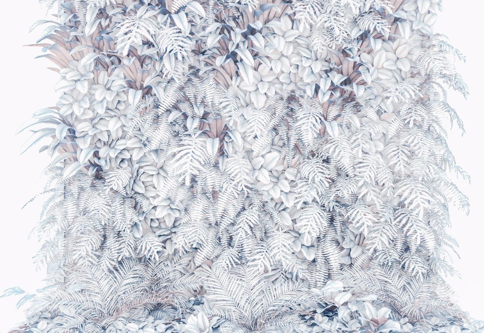 White garden plants wallpaper botanical wall mural feature kitchen