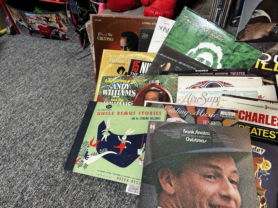 Great Vinyl Records -Ray Charles, Neil Diamond , Chicago, etc. - Good Condition Foto 4 de 4