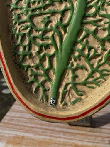 Original vintage Didactic Anatomical Model Of A Liver Fluke Veterinary Vet 1965 - Foto 12 di 16