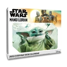 2025 Calendar Star Wars The Mandalorian Page... by Danilo Promotions Lt Calendar