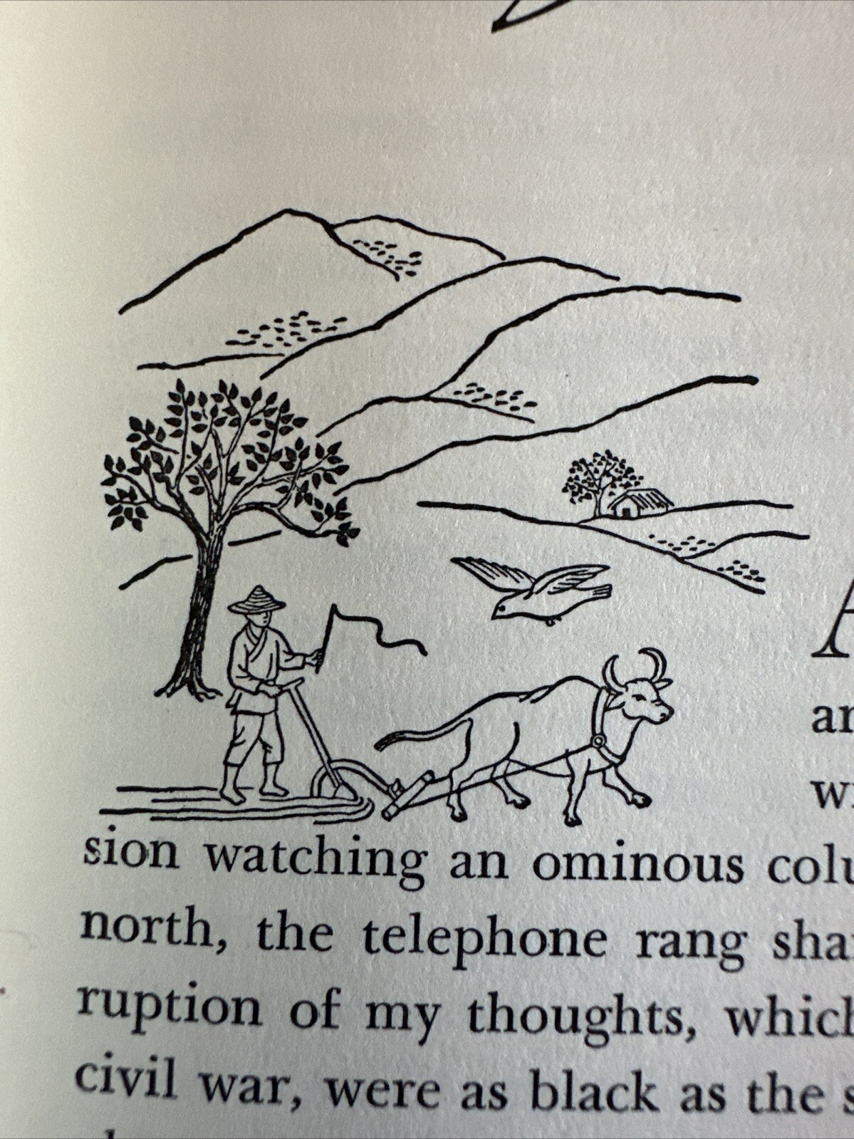 Picture 6 of 9
