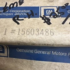 1984 Olds Front Door RH Inner window molding GM 15603486 NOS