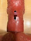 Bild 15 von 24