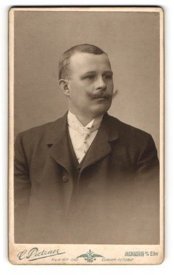 Fotografie C. Pietzner, Aussig a. E., Portrait Herr Hankel im Anzug mit Mustasc 