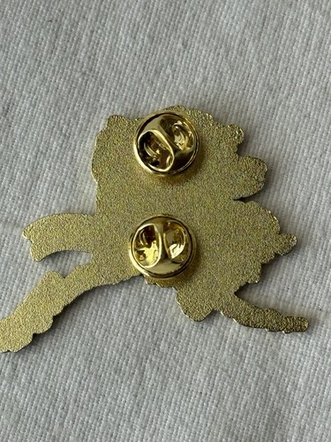 2025 Alaska district 1 Little League Pin state champions - Picture 2 of 3