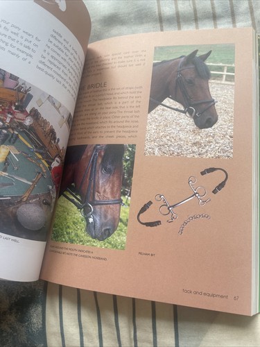 AMANDA LANG. THE HANDBOOK OF HORSE AND PONY CARE. 9781906239732 - Picture 8 of 12