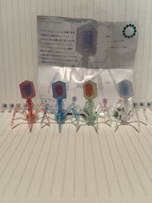 Gacha-T4 Phage