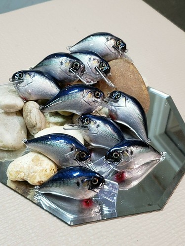 Ezs lures Custom WRAPPED CRANK (shad ) - Picture 7 of 7