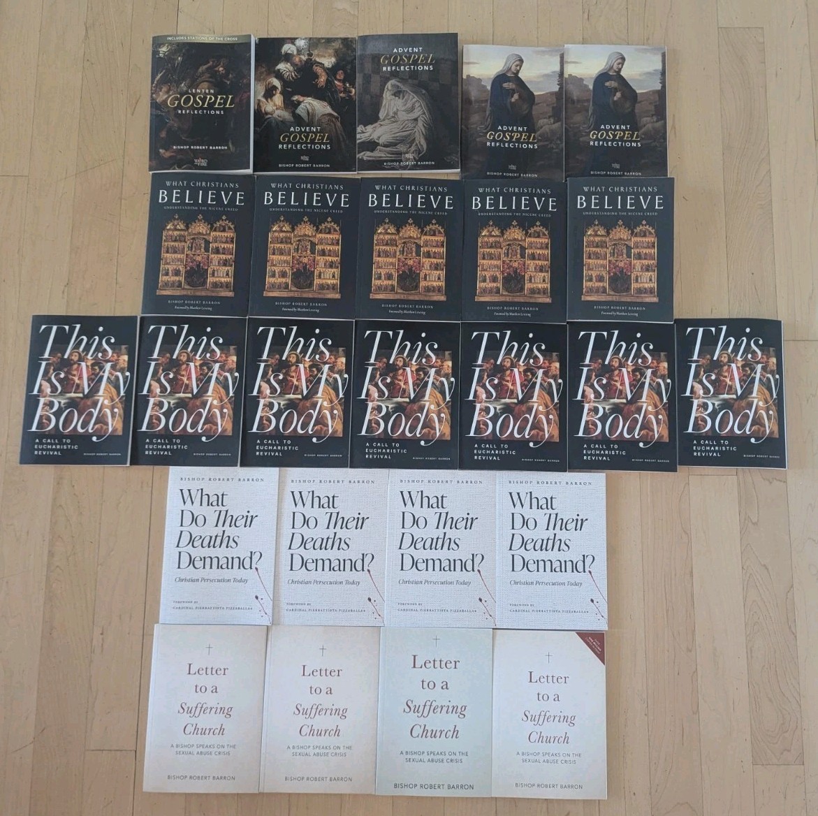 Bishop Robert Barron Word on Fire Lot of 25 Books Booklets Catholic Eucharist