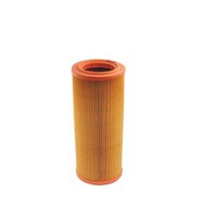 Filtron AR 234/2 Luftfilter Passend FüR Fiat Lancia